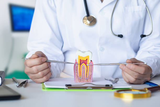 Best Emergency Dentist for Lost Fillings or Crowns in Donalsonville, GA